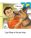 Phonics Readers Set 2 [Classic]