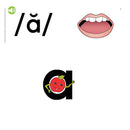 Sound Wall Cards [Classic]